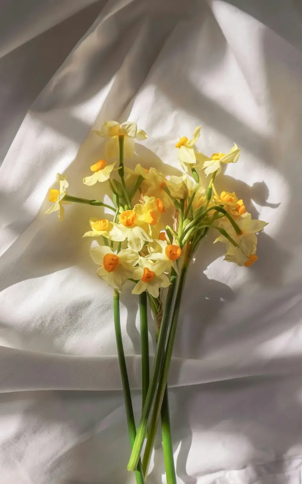 cours-art-floral (2)